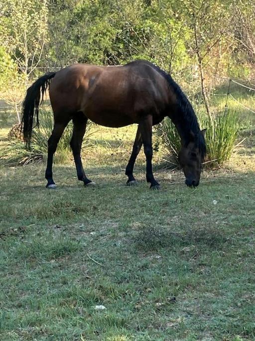 Hacienda Βίλα Lorgues Εξωτερικό φωτογραφία